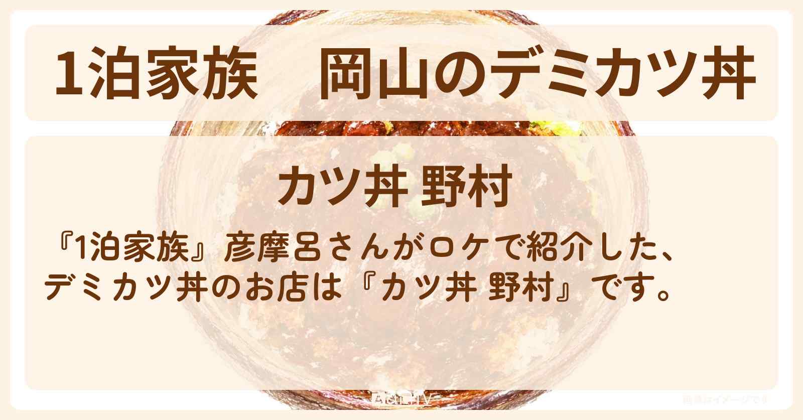 【1泊家族】岡山のデミカツ丼『カツ丼 野村』彦摩呂さんがロケをしたお店情報