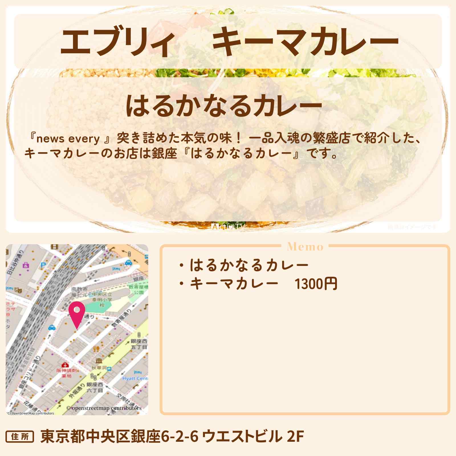 【エブリィ】キーマカレー『はるかなるカレー』銀座の一品入魂 繁盛店・お店情報 #every