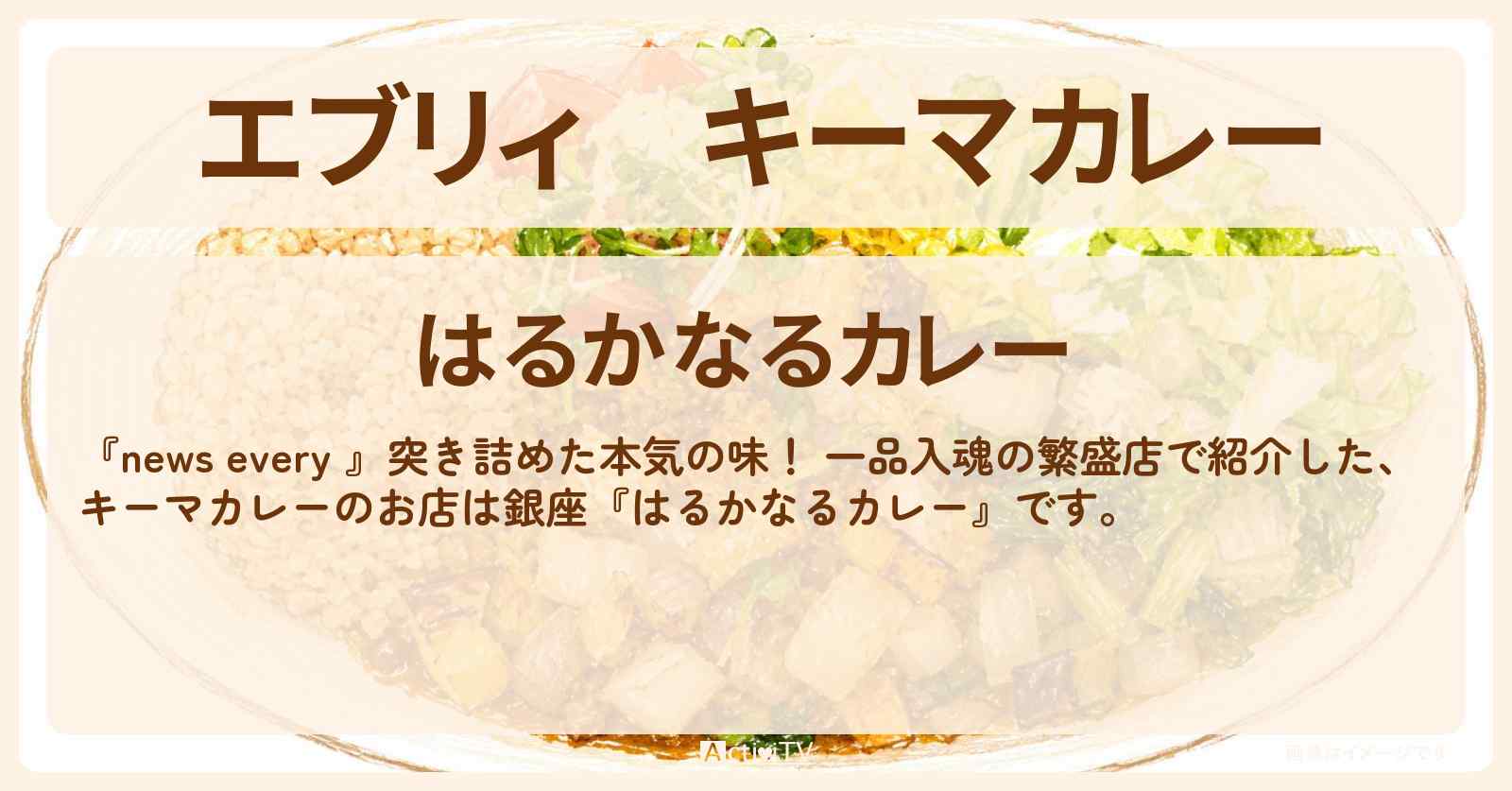 【エブリィ】キーマカレー『はるかなるカレー』銀座の一品入魂 繁盛店・お店情報 #every