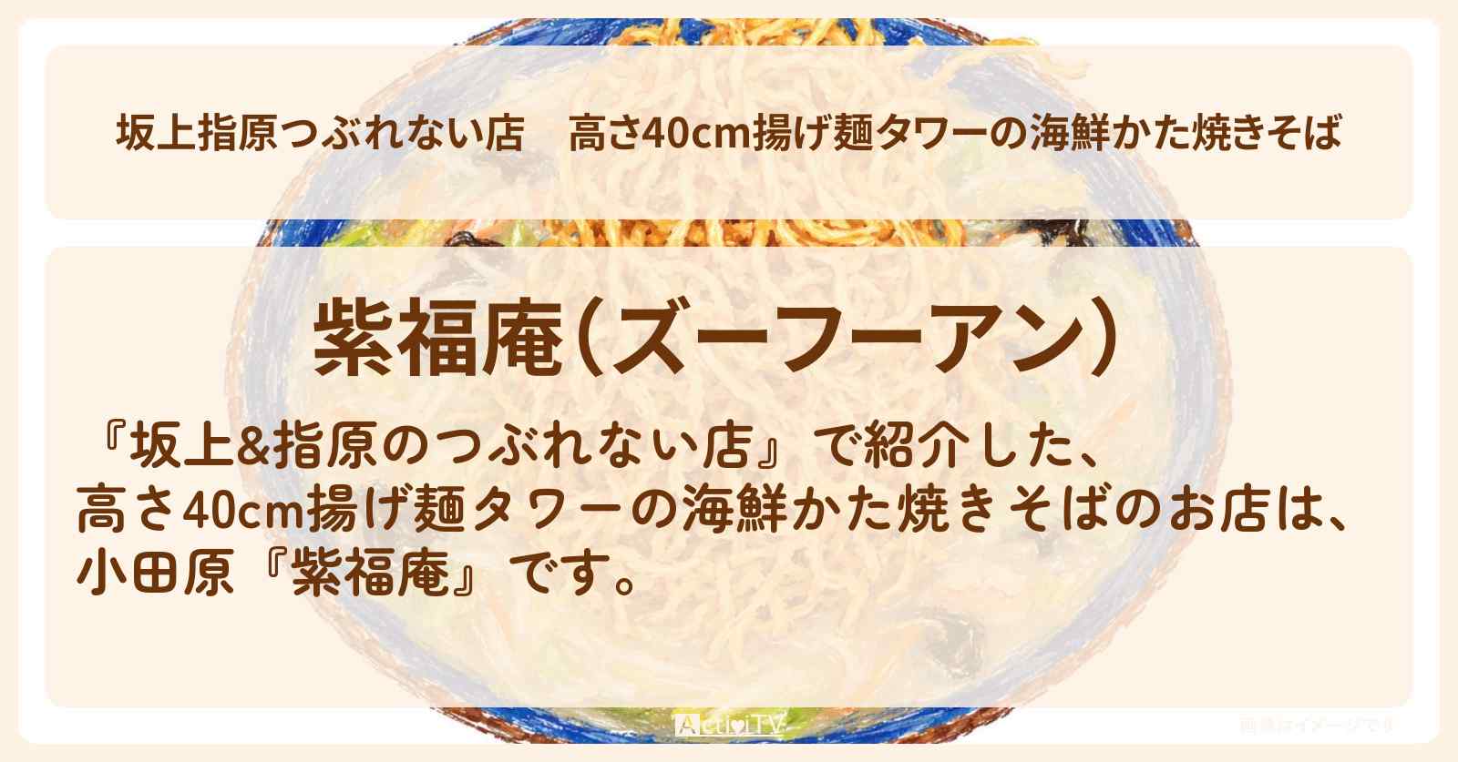 【坂上指原つぶれない店】高さ40cm揚げ麺タワーの海鮮かた焼きそば『紫福庵』噂の逆詐欺繁盛店のお店の場所〔≠ME・櫻井もも・冨田菜々風〕