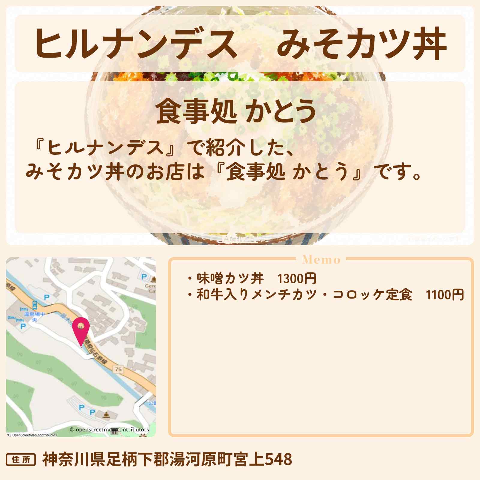 【ヒルナンデス】みそカツ丼『食事処 かとう』静岡県 湯河原のお店情報〔柳沢慎吾・髙地優吾〕
