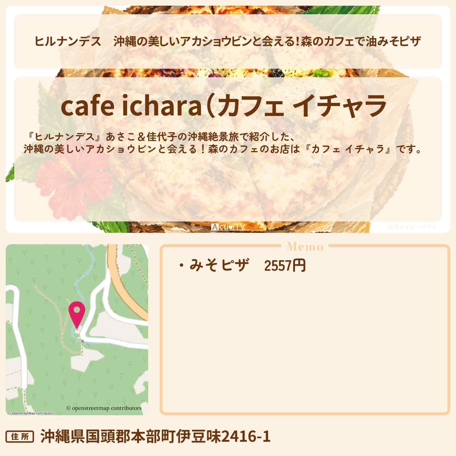 【ヒルナンデス】沖縄の美しいアカショウビンと会える!森のカフェで油みそピザ『カフェ イチャラ』のお店情報〔いとうあさこ・大久保佳代子〕