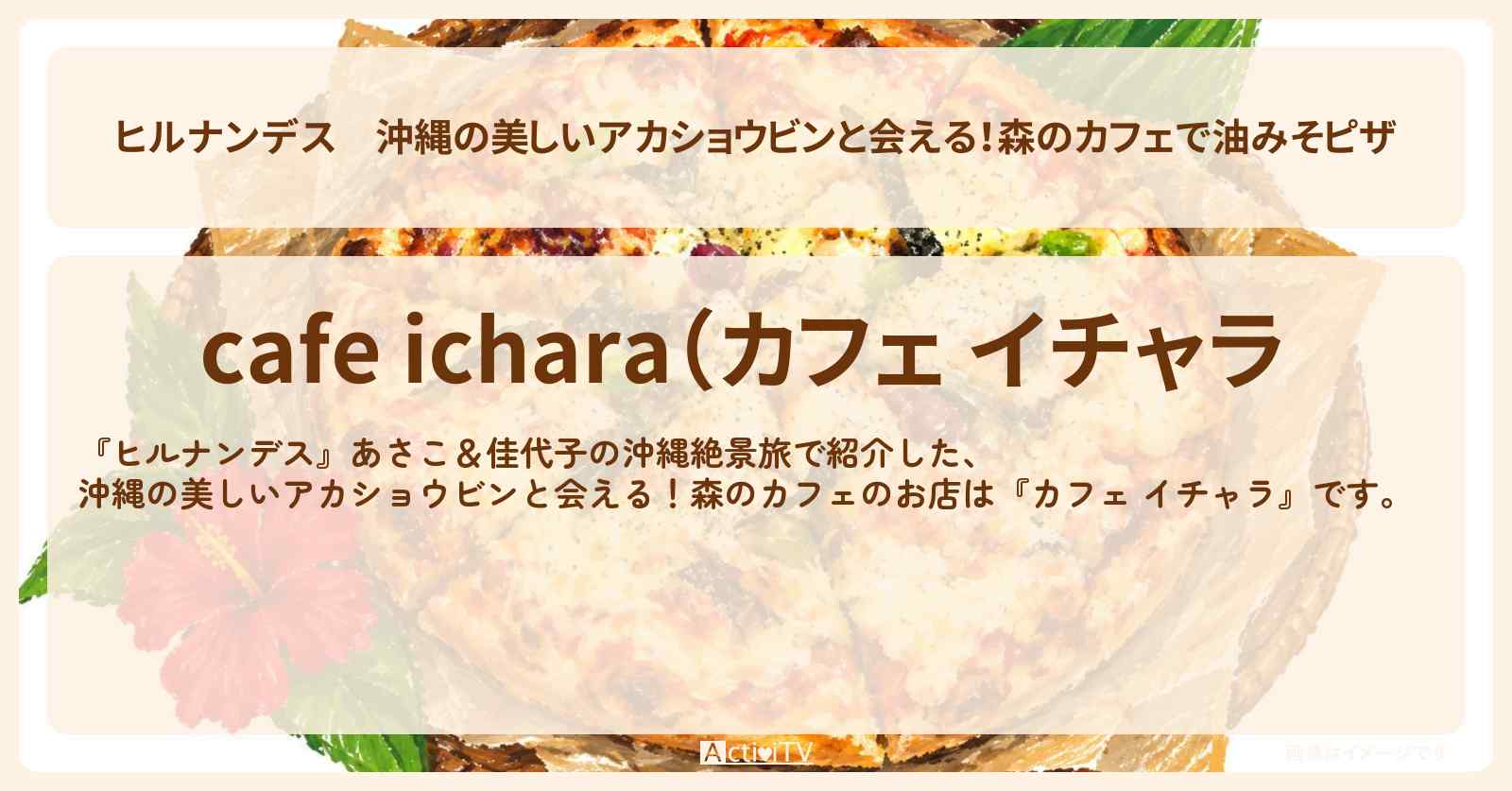 沖縄の美しいアカショウビンと会える！森のカフェで油みそピザ『カフェ イチャラ』のお店情報〔いとうあさこ・大久保佳代子〕