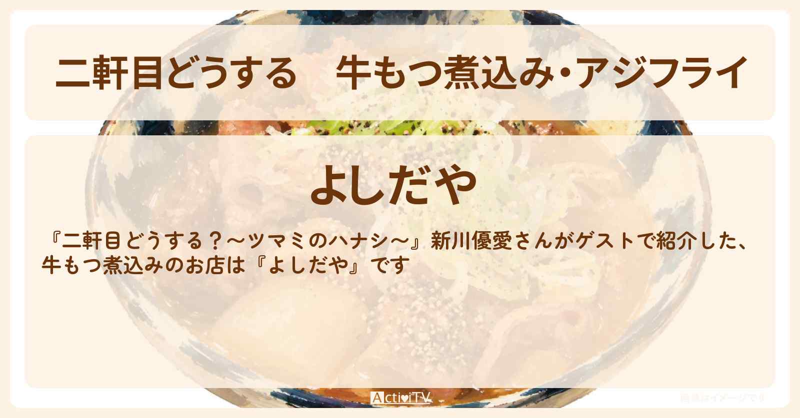 【二軒目どうする】牛もつ煮込み・アジフライ『よしだや』大井町のお店の場所〔新川優愛・ツマミのハナシ〕
