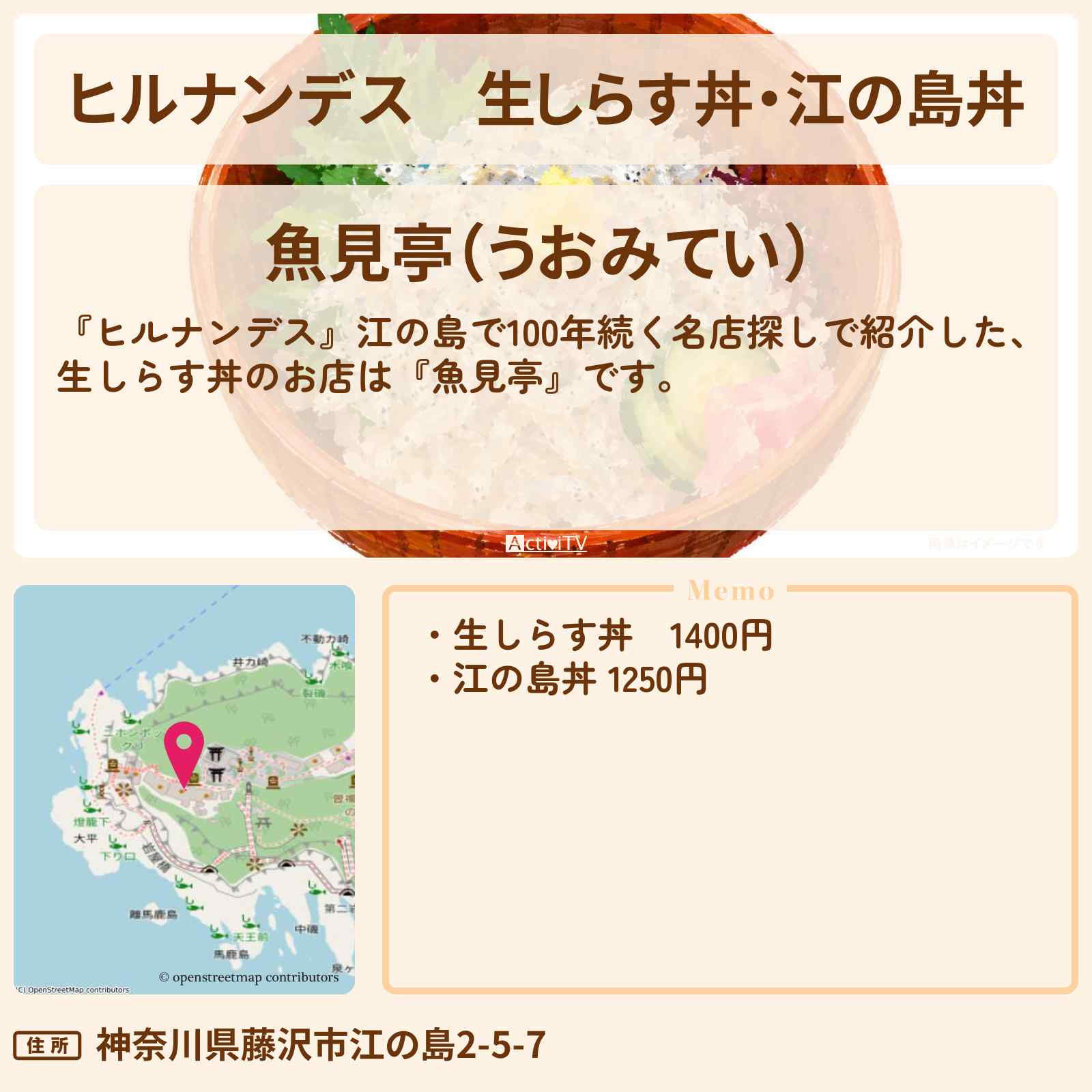 【ヒルナンデス】生しらす丼・江の島丼『魚見亭』江の島100年名店探しのお店情報〔佐藤栞里・真琴つばさ〕
