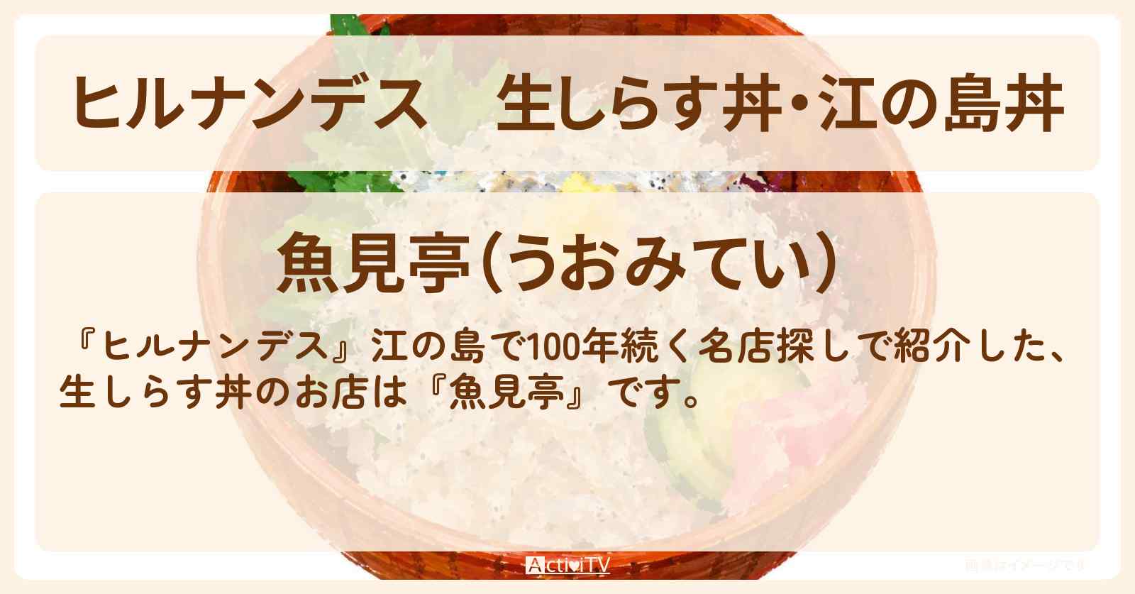 生しらす丼・江の島丼『魚見亭』江の島100年名店探しのお店情報〔佐藤栞里・真琴つばさ〕